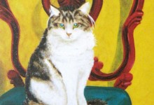 Kitty - oil on canvas board